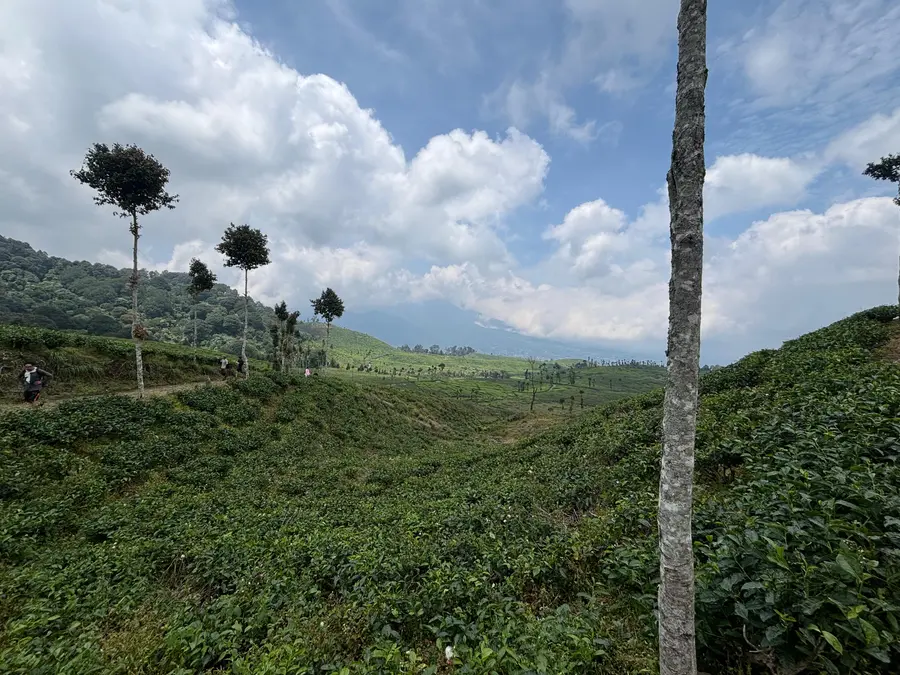 Melihat Indahnya Pemandangan Alam